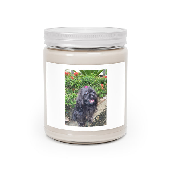 " Black Dog " Design Scented Candles, 9oz Holiday Gift Birthday Gift Comfort Spice Scent, Sea Breeze Scent, Vanilla Bean Scent Home Decor