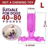 3pcs Meat-Flavored Dog Toothbrush