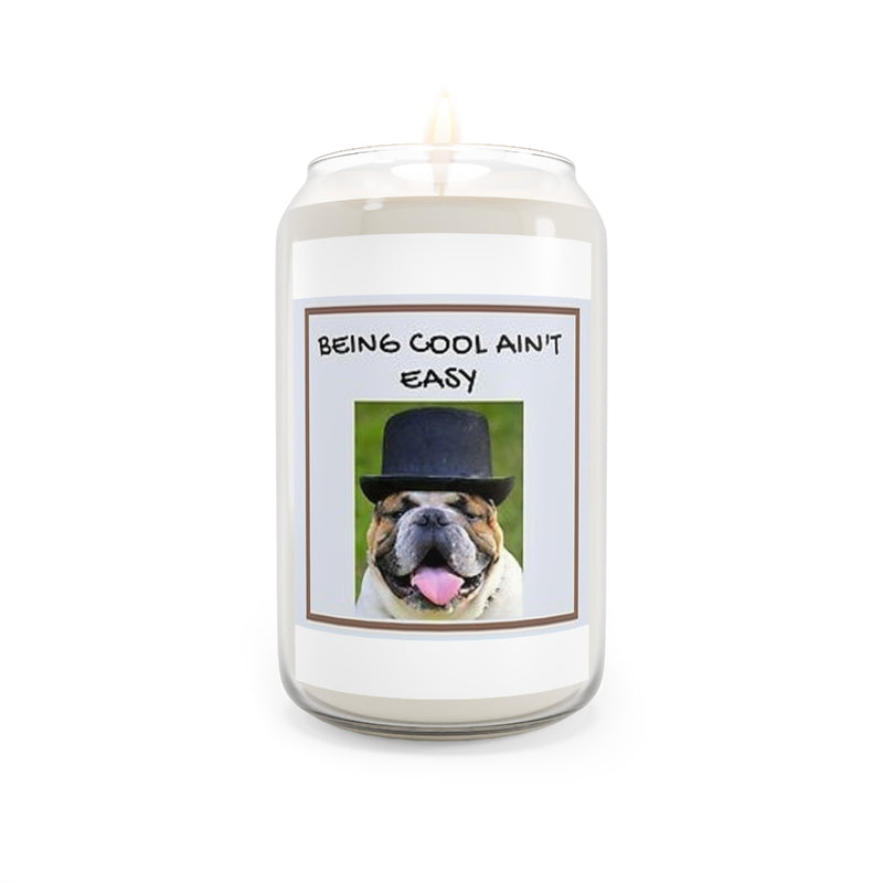" Being Cool Ain't Easy " Scented Candle, 13.75oz Holiday Gift Birthday Comfort Spice, Sea Breeze, Vanilla Bean Scent