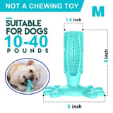 3pcs Meat-Flavored Dog Toothbrush