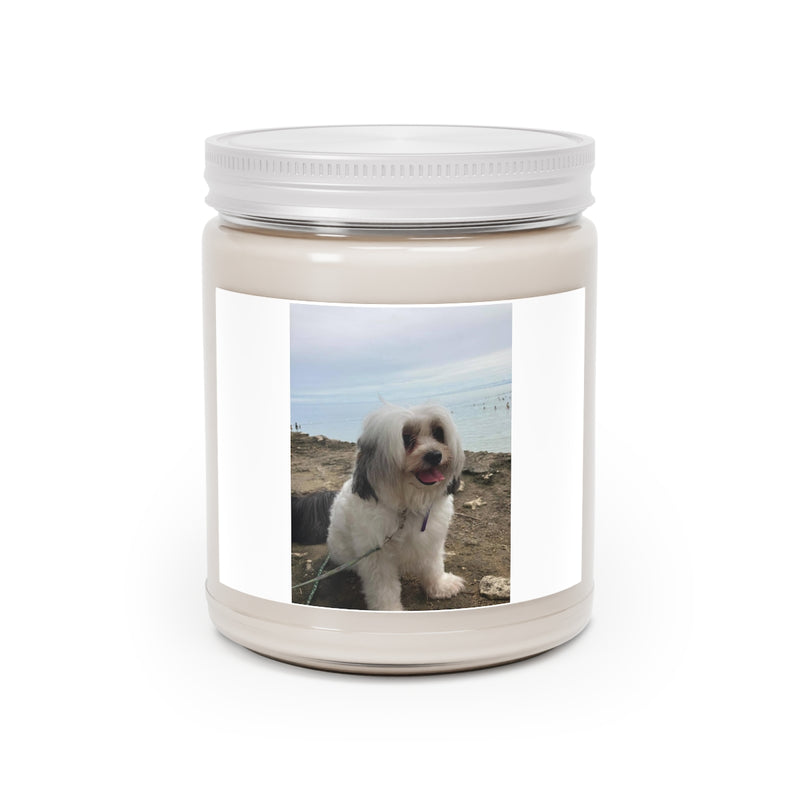 " Cute Dog " Design Scented Candles, 9oz Holiday Gift Birthday Gift Comfort Spice Scent, Sea Breeze Scent, Vanilla Bean Scent Home Decor