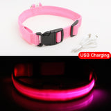 3pcs USB Charging LED Dog Collar Anti-Lost/Avoid Car Accident Collar