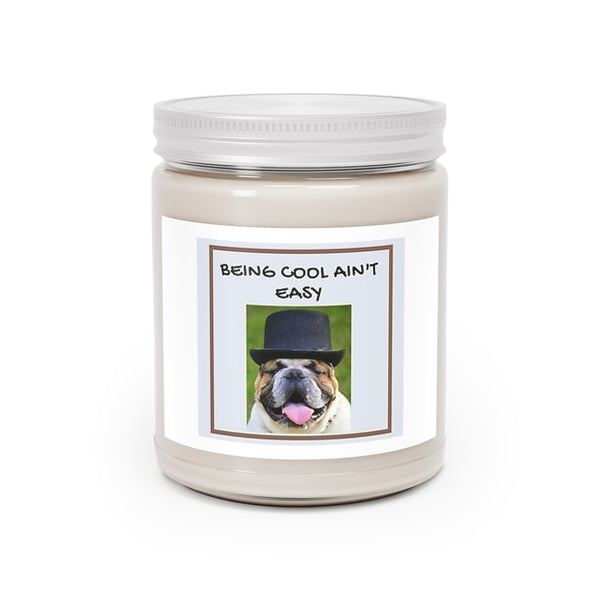 " Being Cool Ain't Easy " Scented Candles, 9oz Holiday Birthday Gift Comfort Spice, Sea Breeze, Vanilla Bean Scent