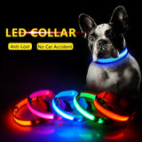3pcs USB Charging LED Dog Collar Anti-Lost/Avoid Car Accident Collar